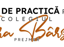 Stagii de practică pentru Colegiul Ţara Bârsei